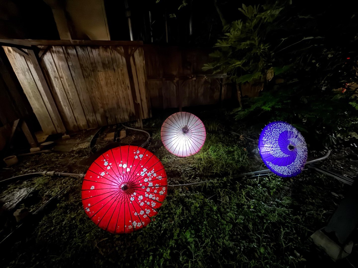 IMG_5553.jpeg