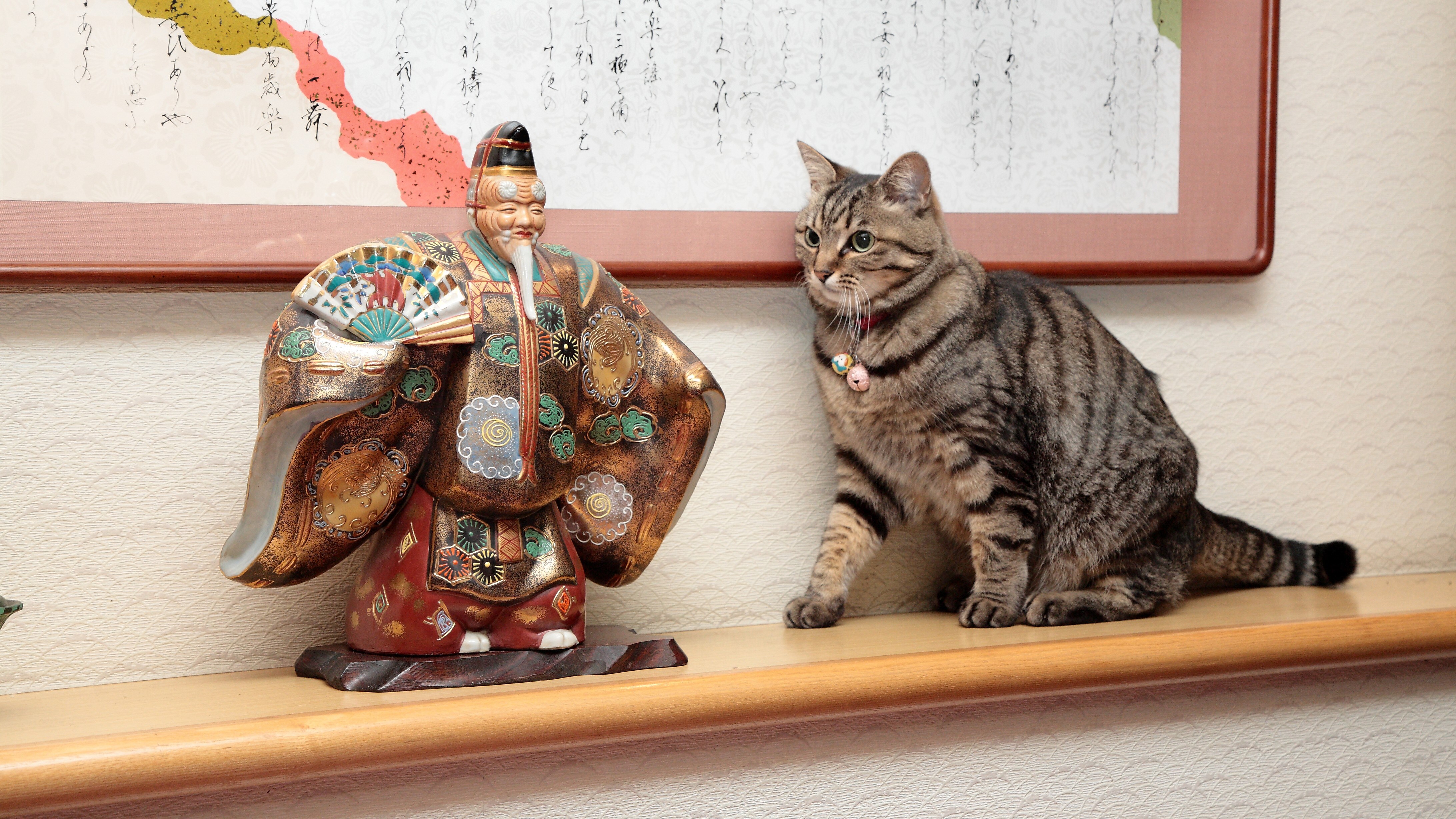 Our mascot cats (four mother and kittens) are waiting for you