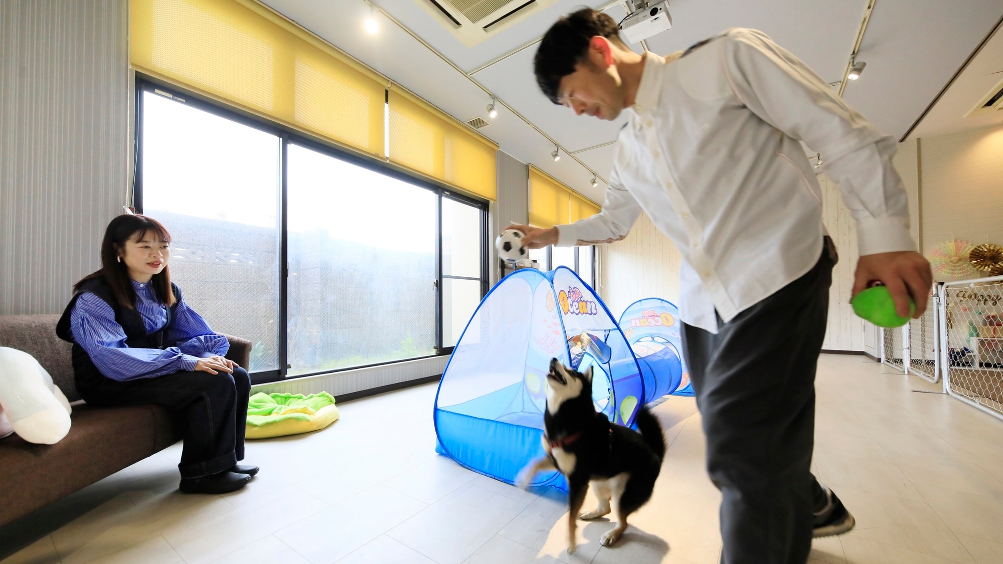 [Indoor playground] Play with your dog to the fullest and make memories of your trip ♪ (Example)
