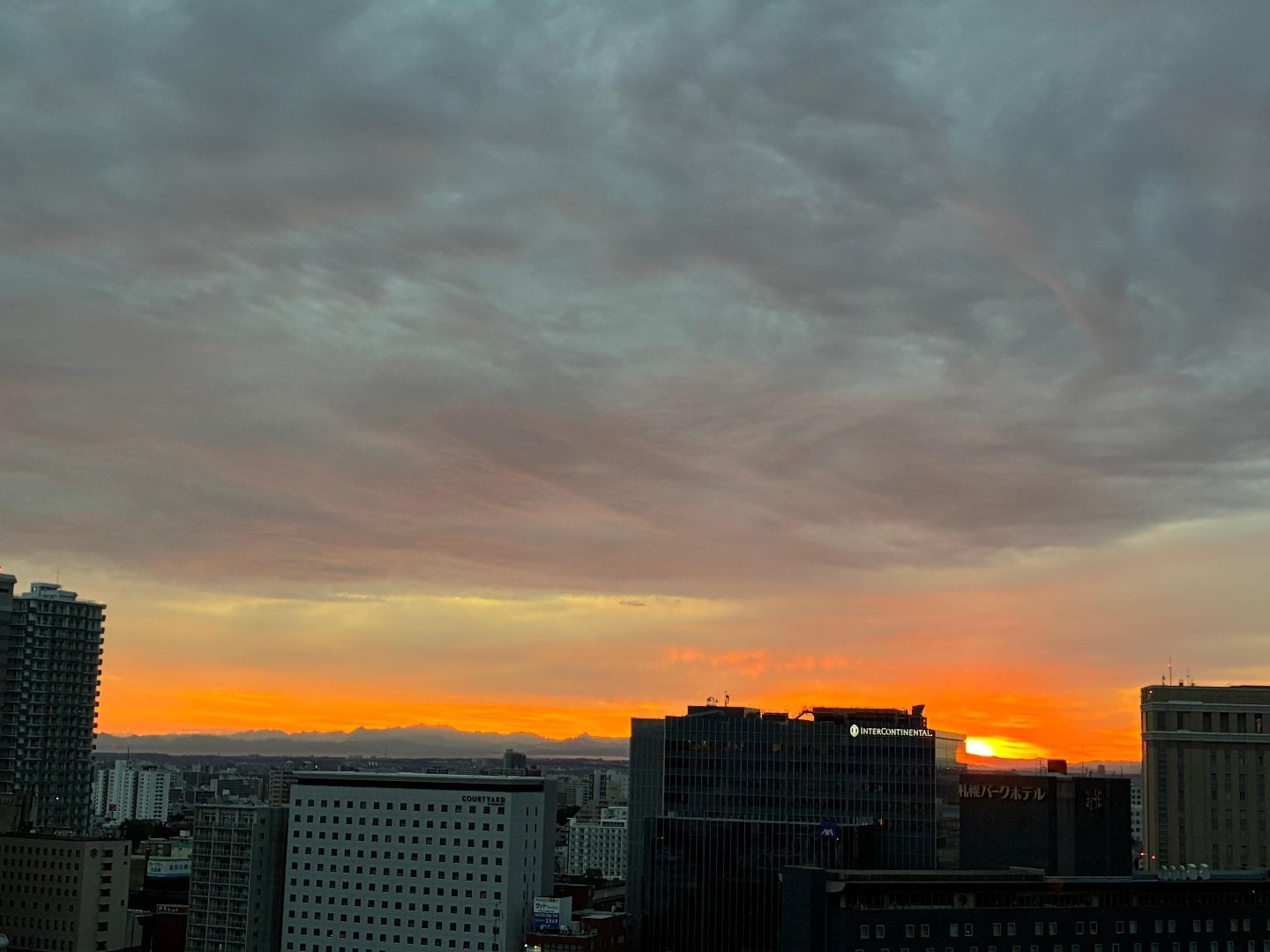 6D2700D6-AA44-4417-95E6-B31BB7998D08.jpeg