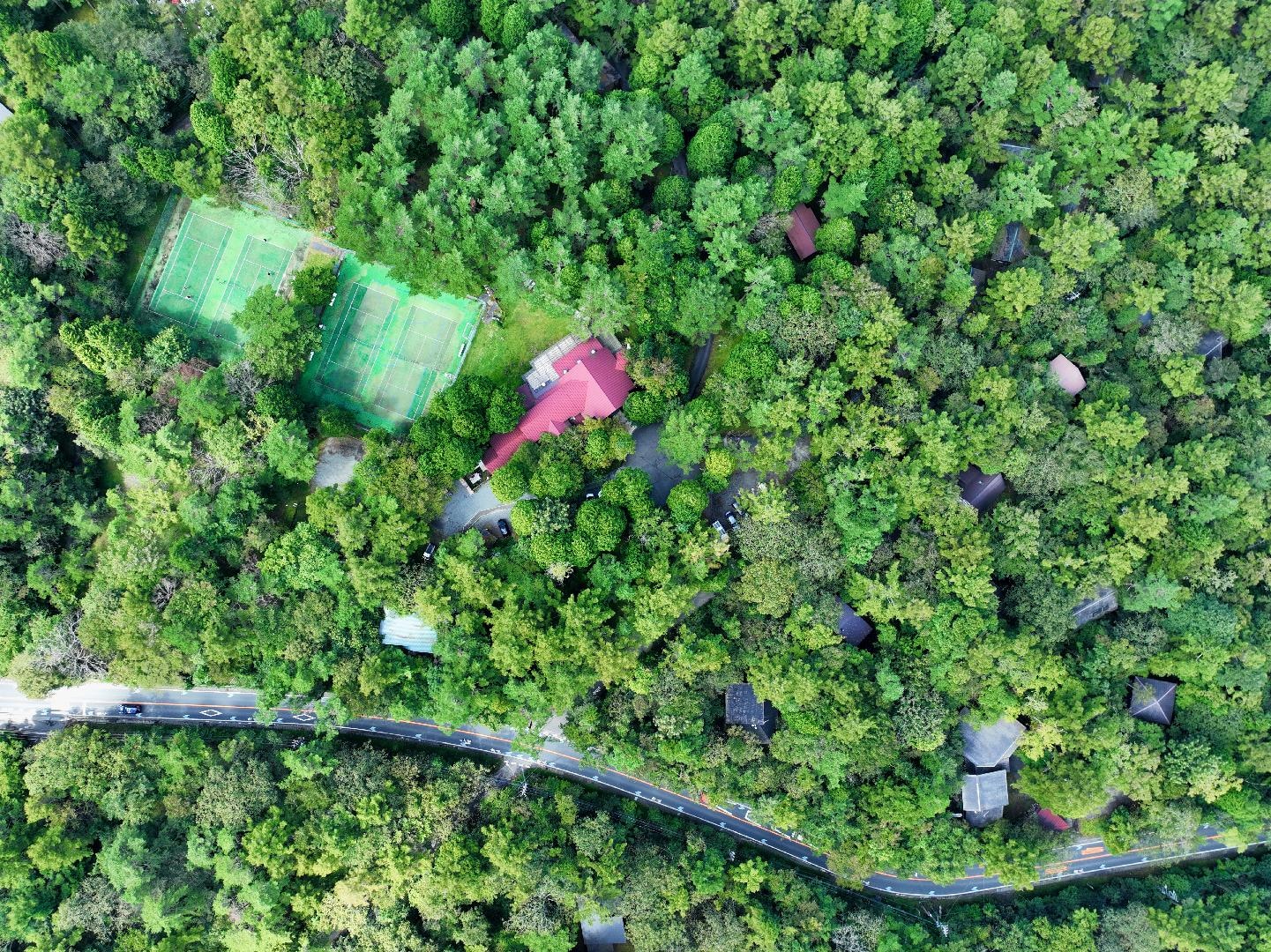 Image of the main building located in the forest