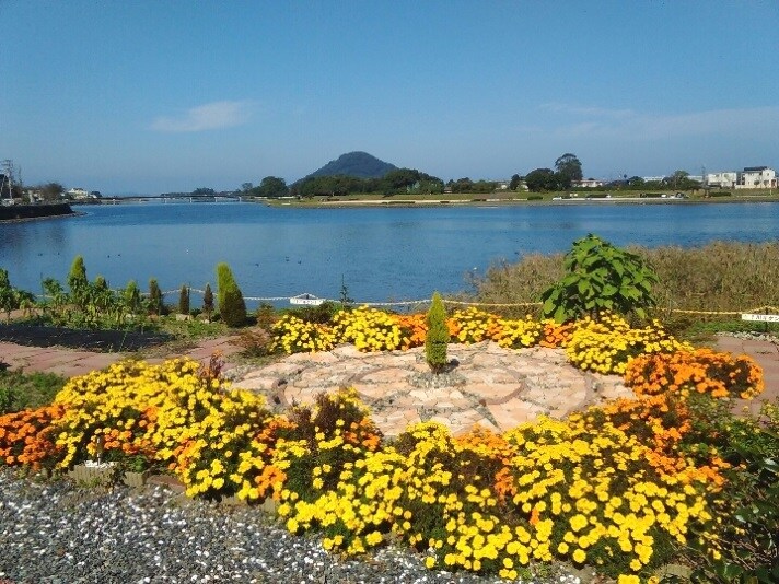 Flower field in the garden