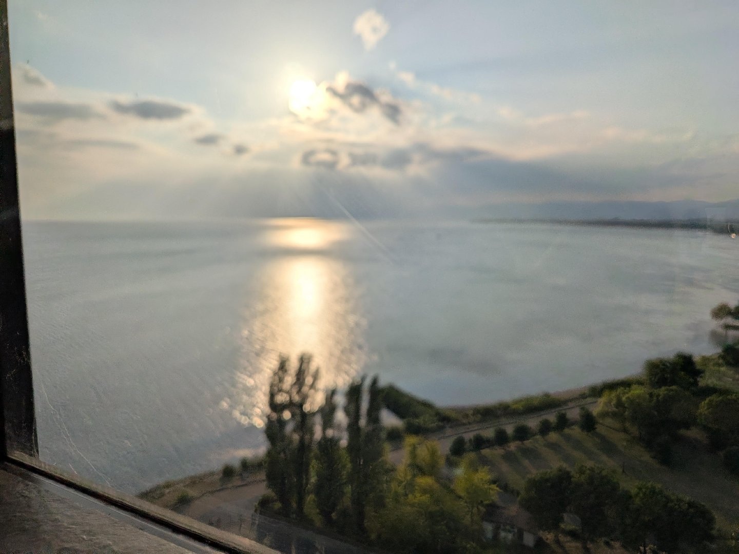 8877.jpg