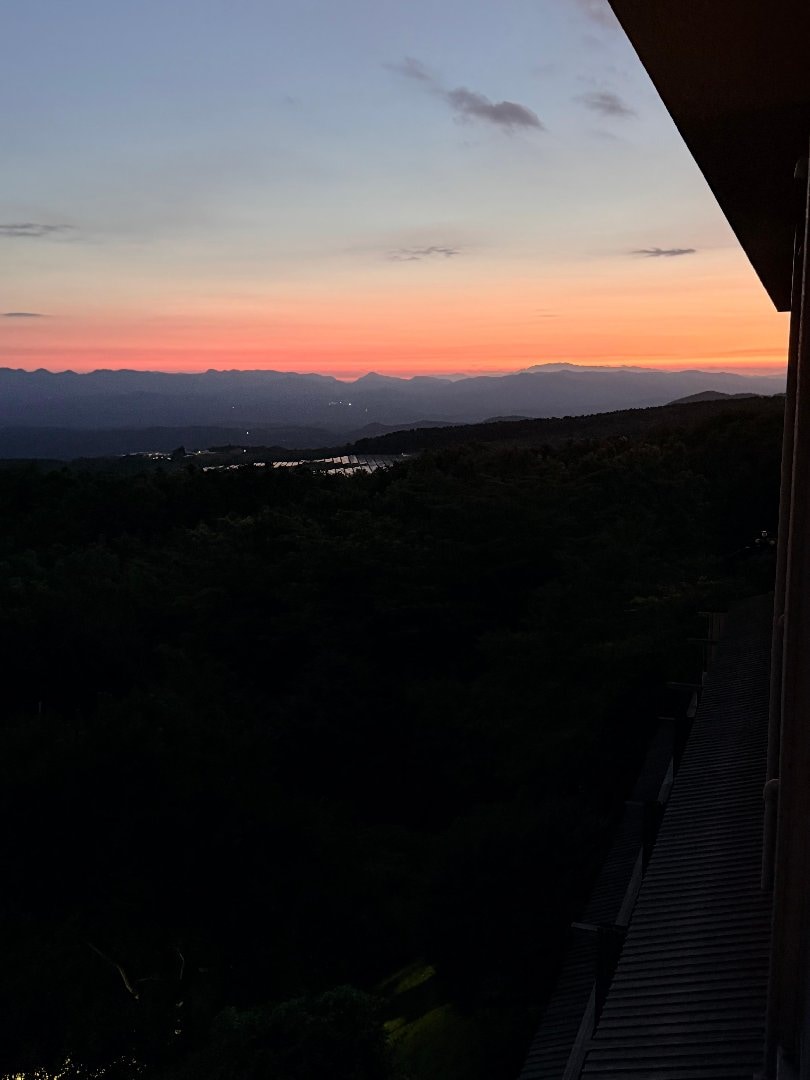 IMG_4037.jpeg