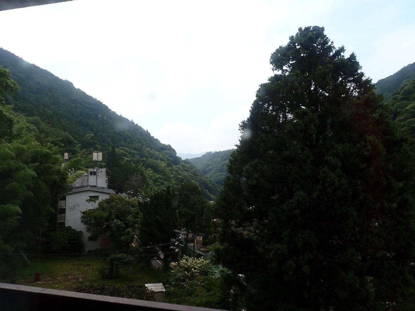 P6300218.JPG