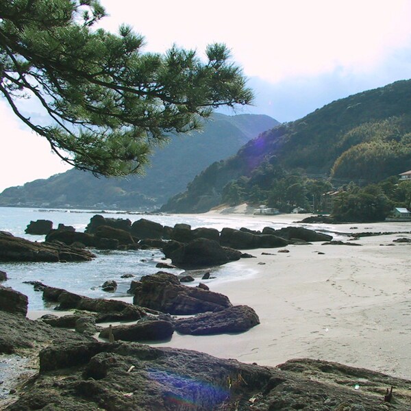 周围环境_眼前的大海（2）