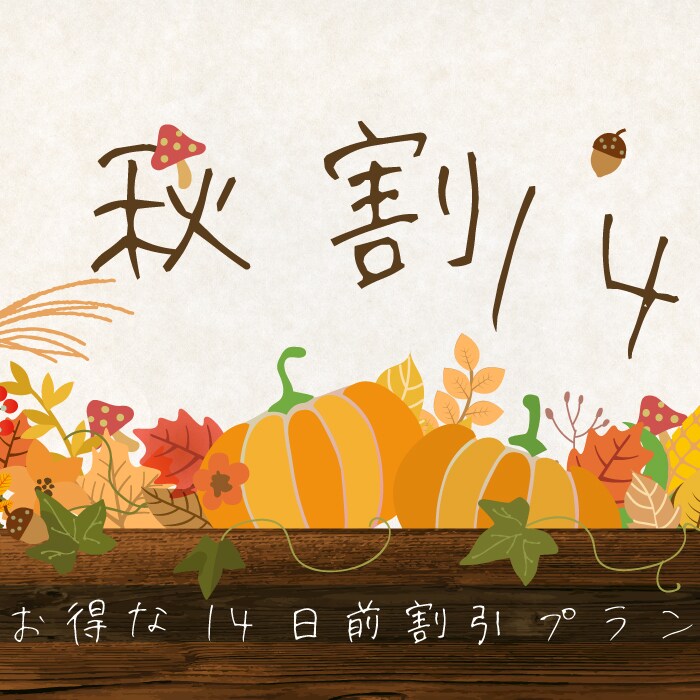 Autumn Discount 14