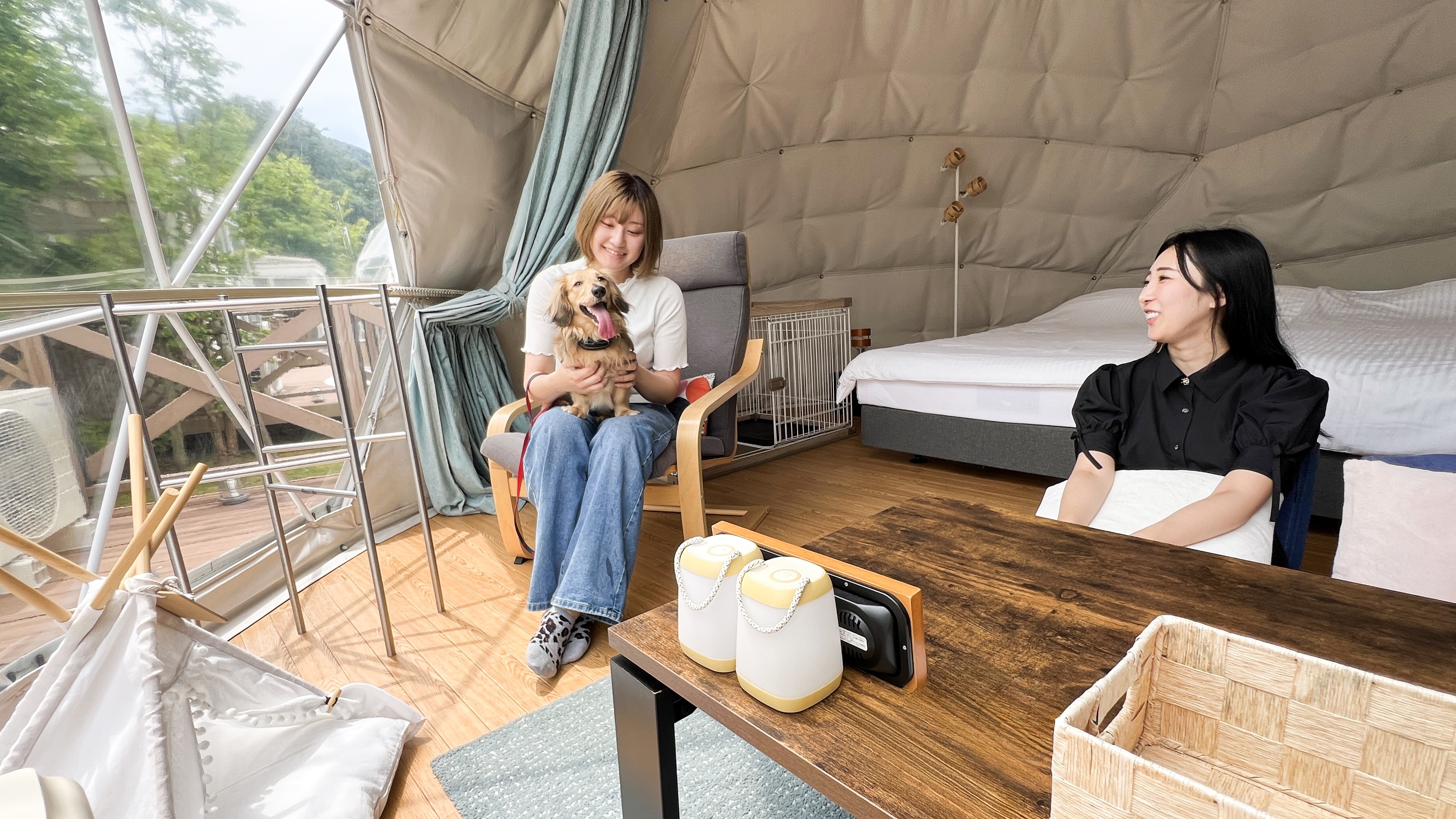 Pet Friendly Dome Tent