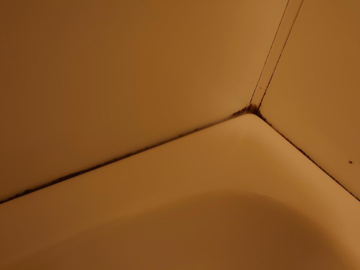DSC_0011.JPG