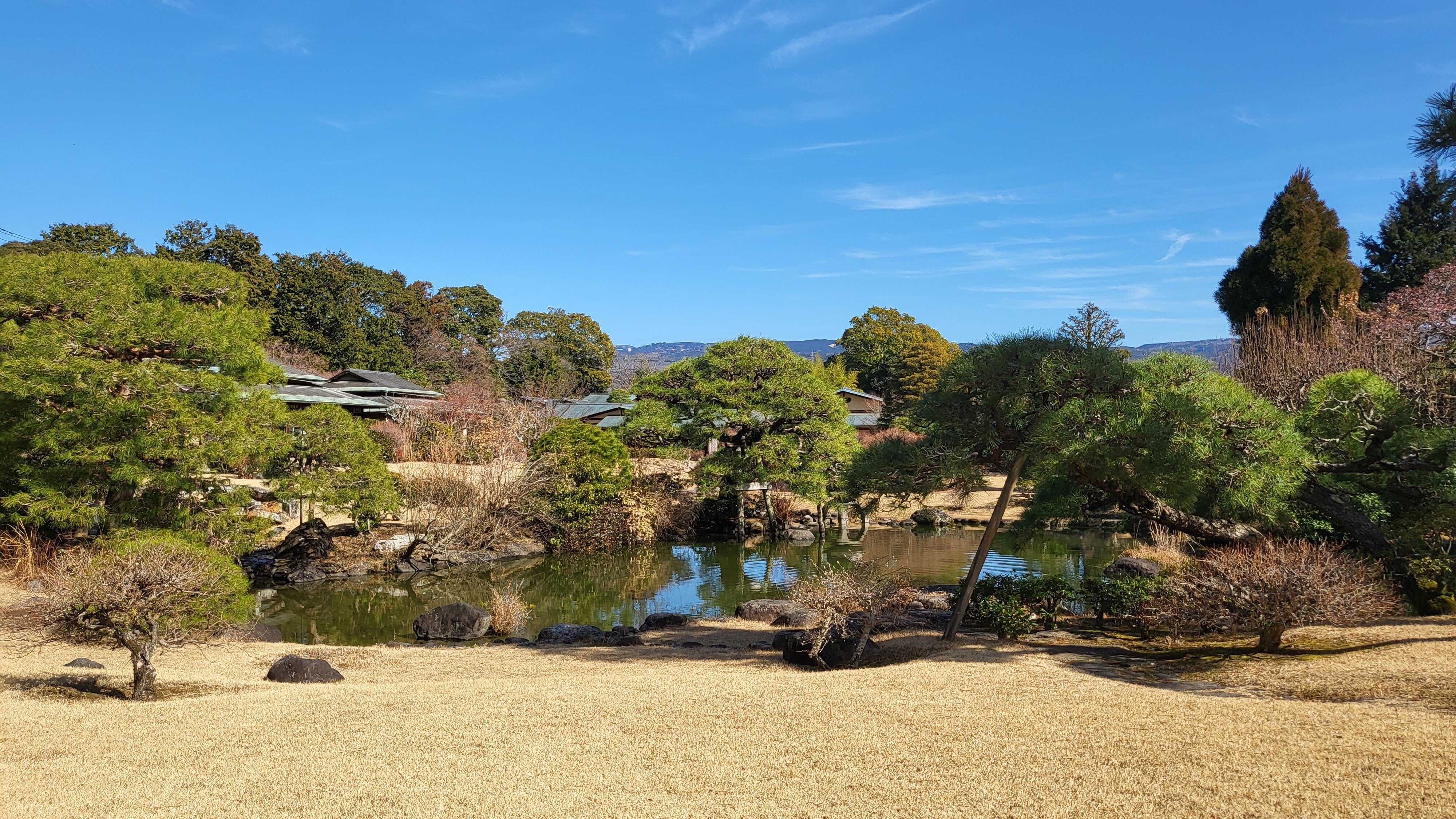 Garden (winter)