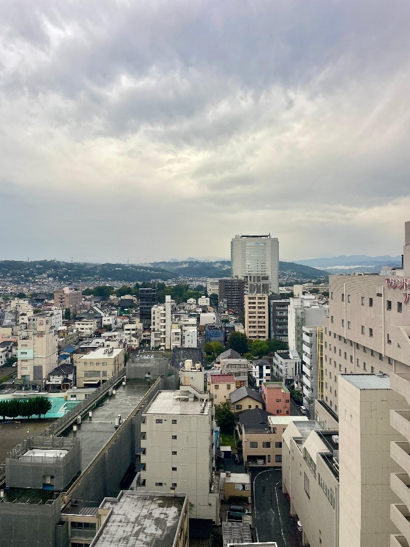 IMG_0383.jpeg