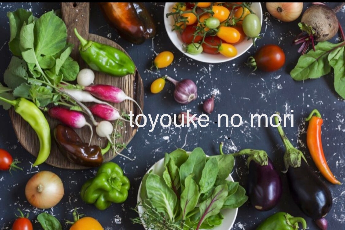 Toyokenomori Organic Seasonal Vegetables