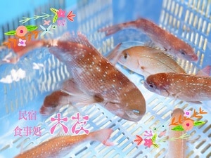 魚缸