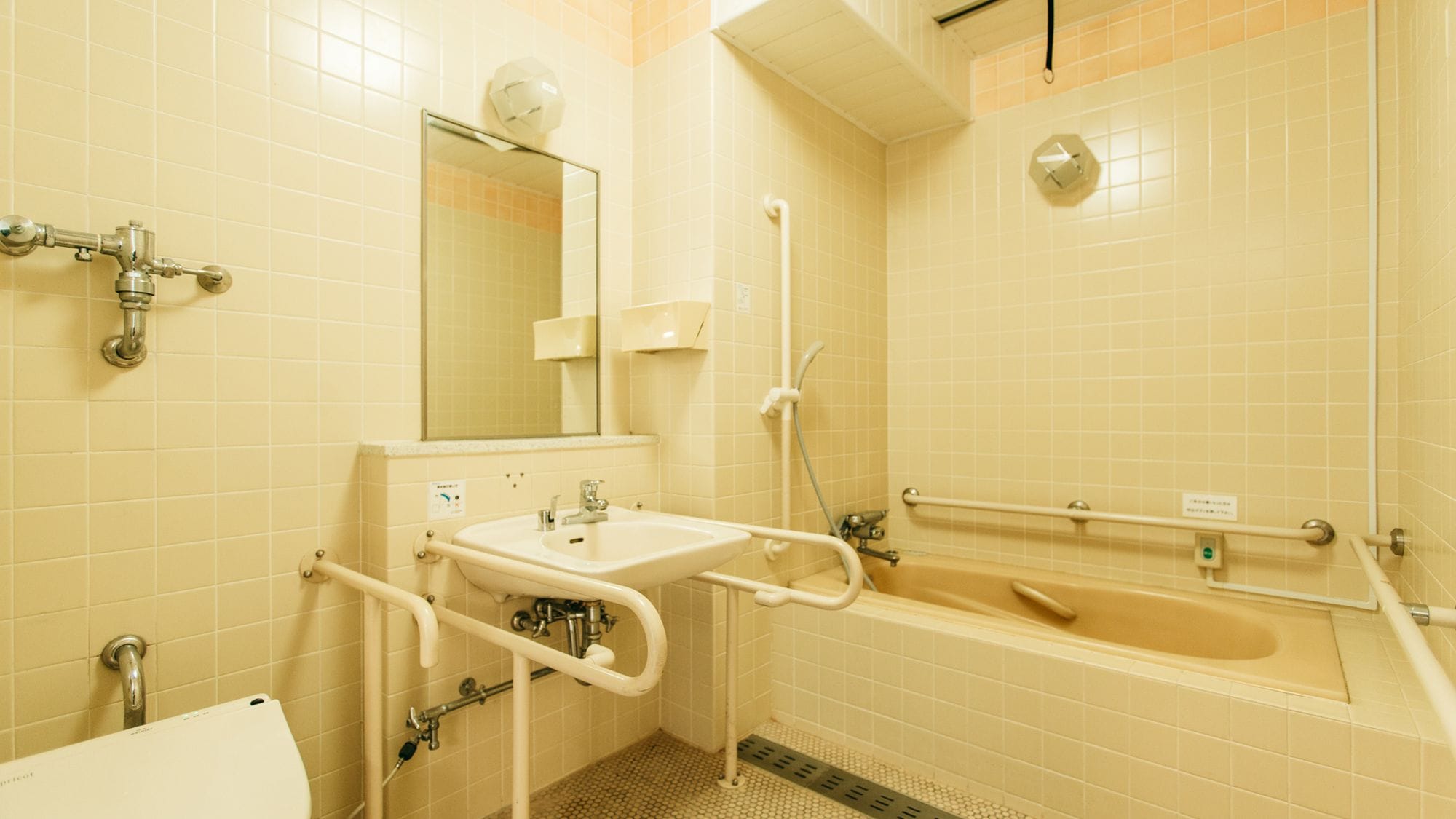 Barrier-free room (with bath) "40 square meters" / bathroom