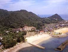 Appearance image