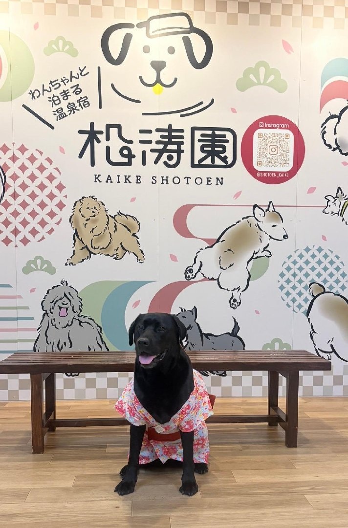 わんちゃんと泊まる温泉宿 皆生温泉 松涛園 に実際に泊まった方の