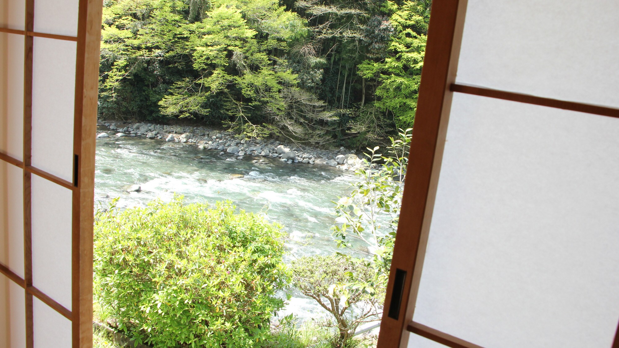 Pemandangan dari kamar