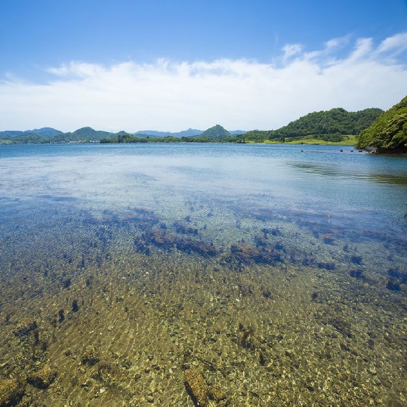 Calme, một biệt thự ven sông