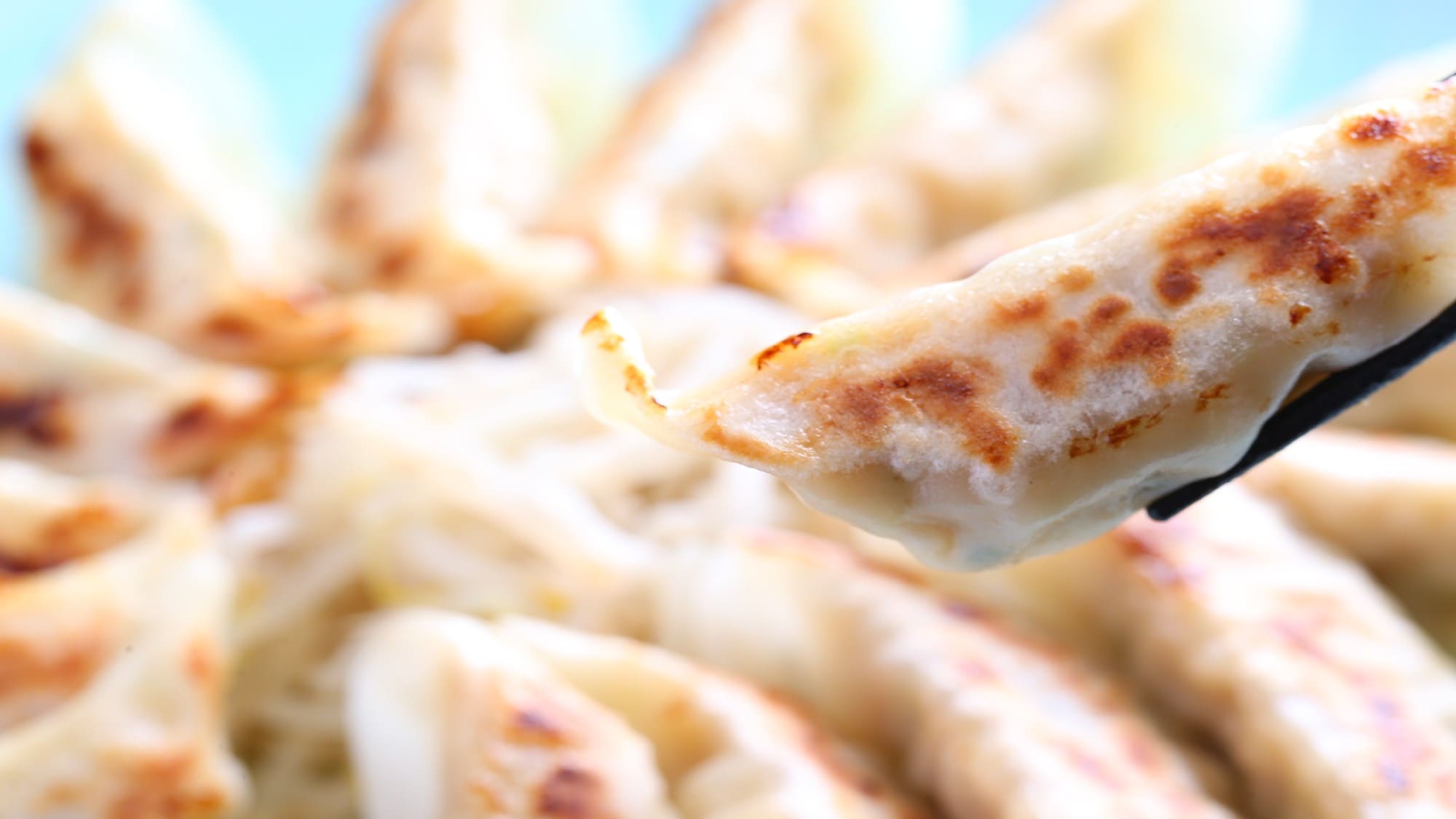 [Food] Hamamatsu Gyoza | Hamamatsu is famous for its gyoza consumption! Please enjoy the delicious gyoza, a Hamamatsu specialty.