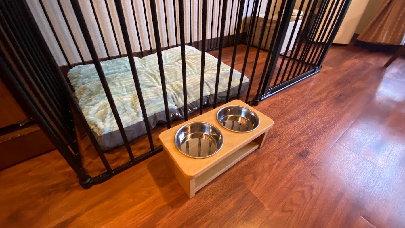 Dog-friendly twin room