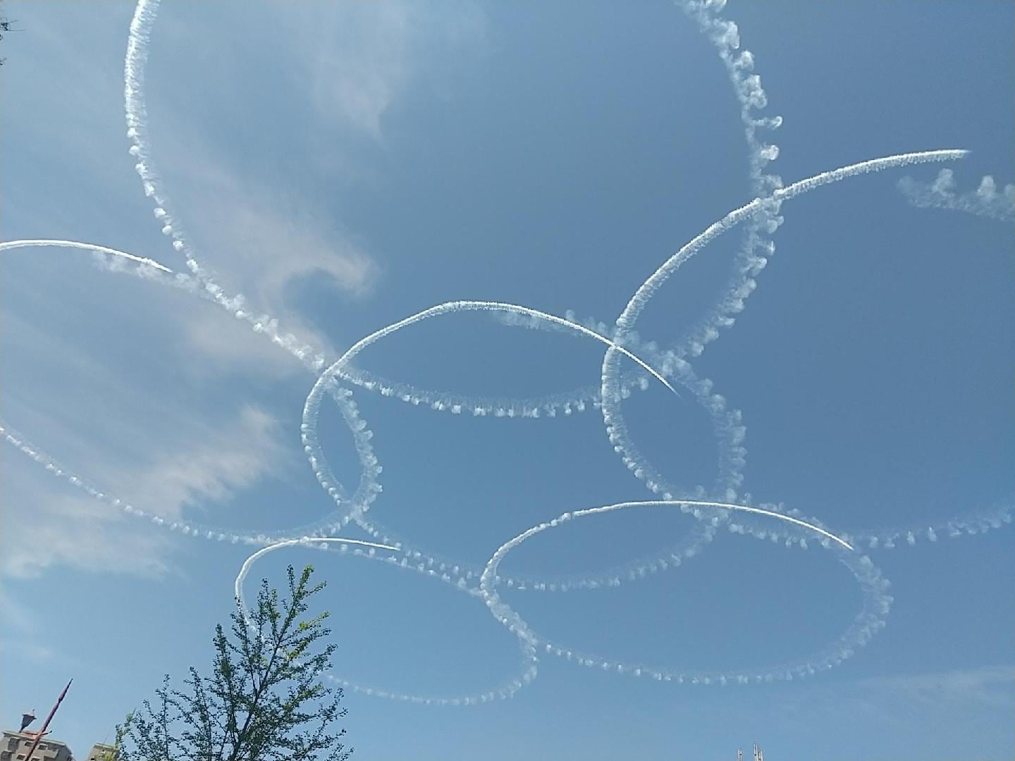 1000022058.jpg