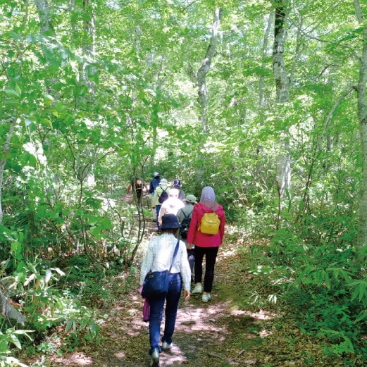 trekking