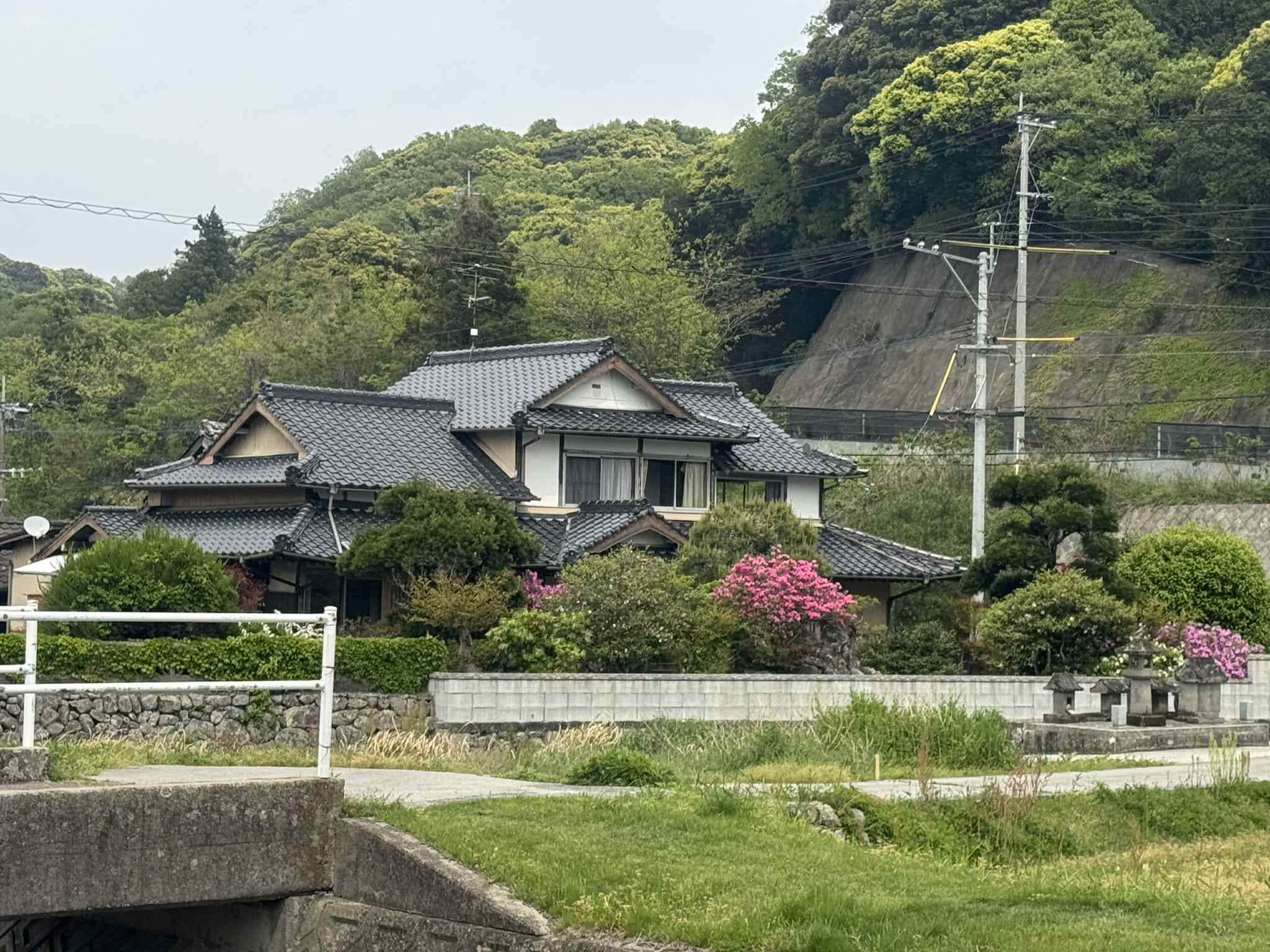 รูปลักษณ์ในช่วงฤดูร้อน