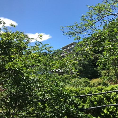 The view from the Western-style rooms is of lush greenery, providing a moment of relaxation and making them popular guest rooms.