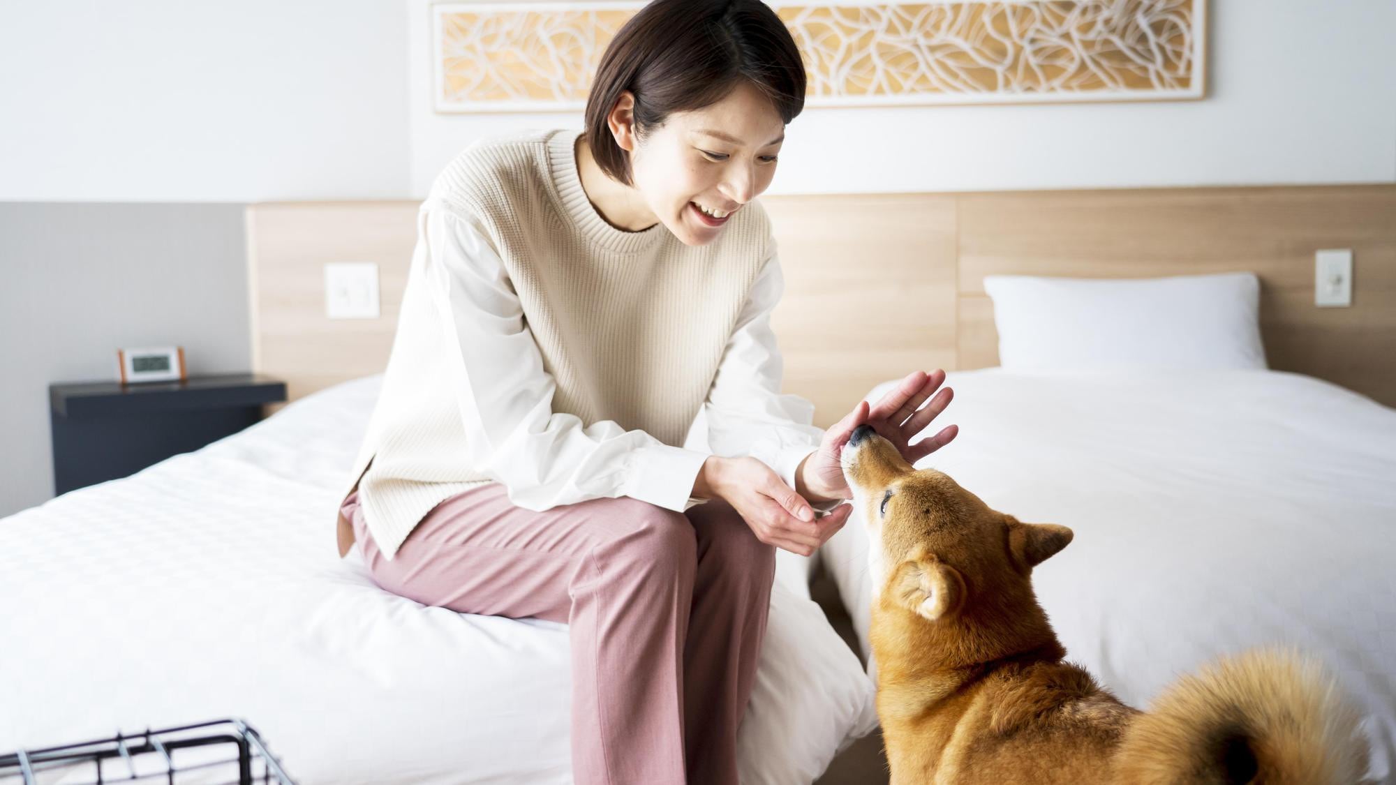 ห้องดีลักซ์สไตล์ญี่ปุ่นและตะวันตก: ภาพการเข้าพักของคุณ