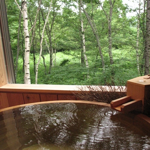 [Guest room bath (summer)] Example