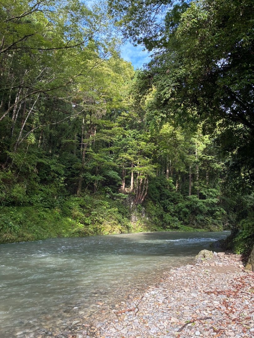 LINE_ALBUM_20260815_260817_2.jpg