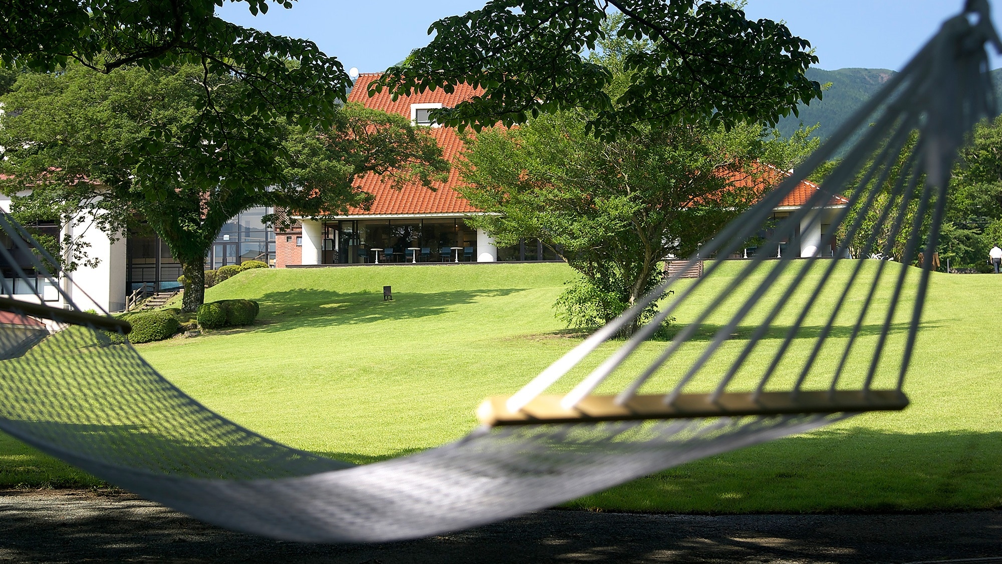 Summer garden (hammock)