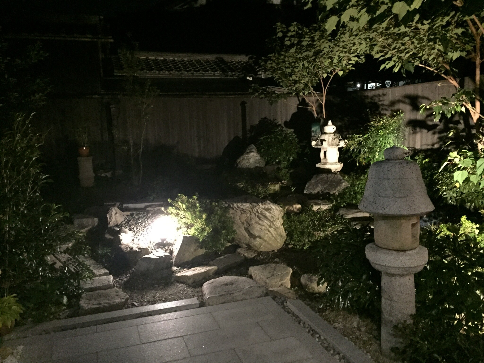 Garden at night