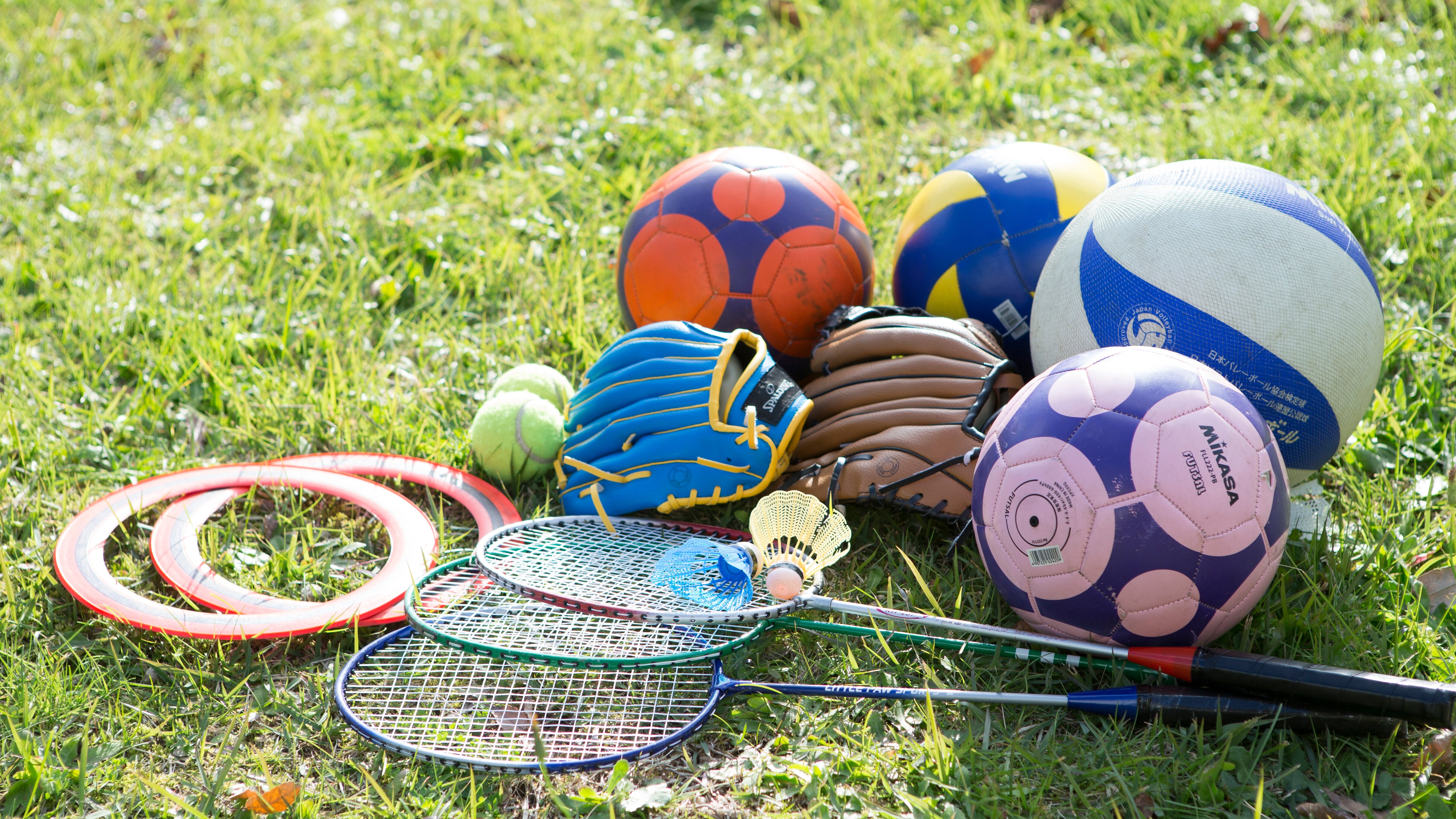 Free rental of playground equipment! Both adults and children can use it on the lawn behind the mountain.