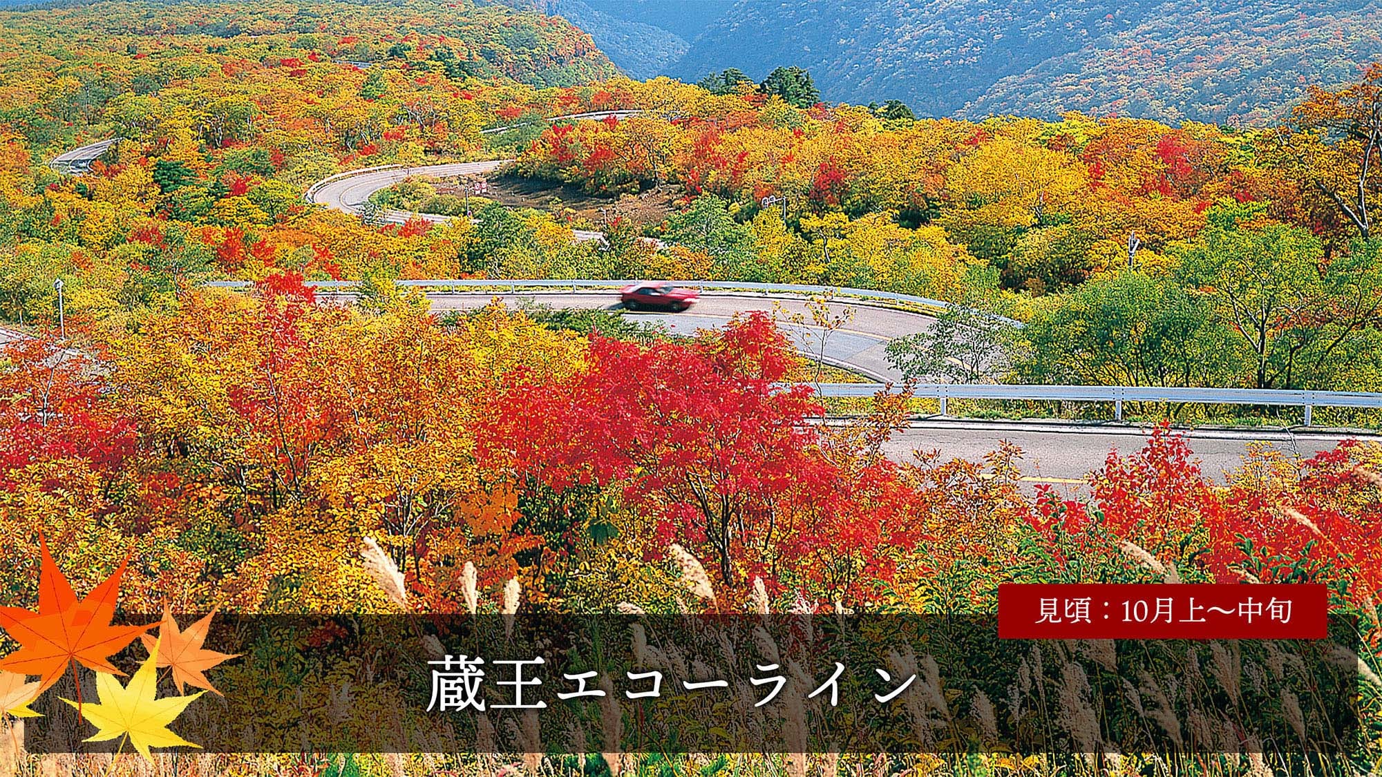 藏王回音線（紅葉）
