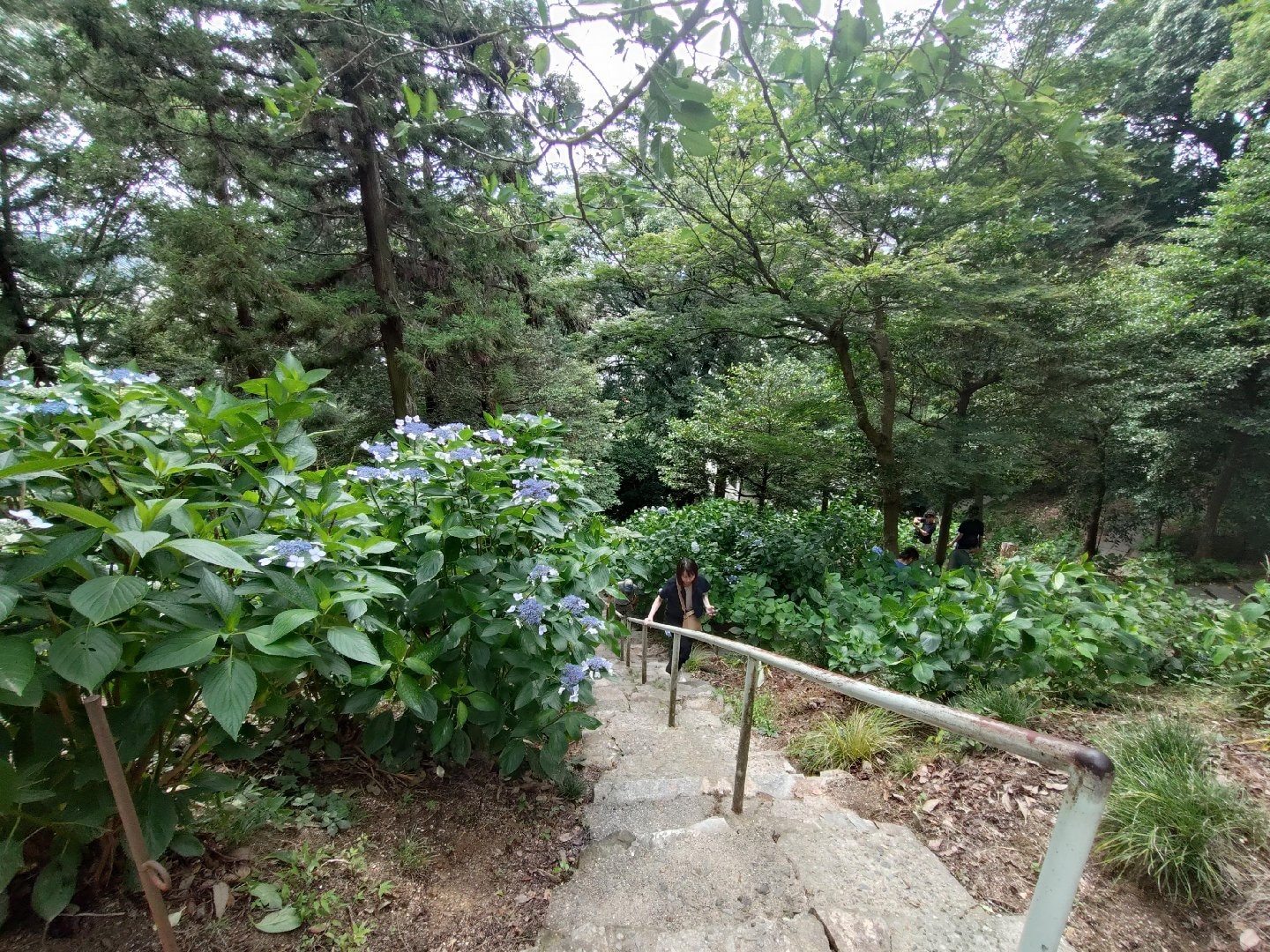 1000014724.jpg