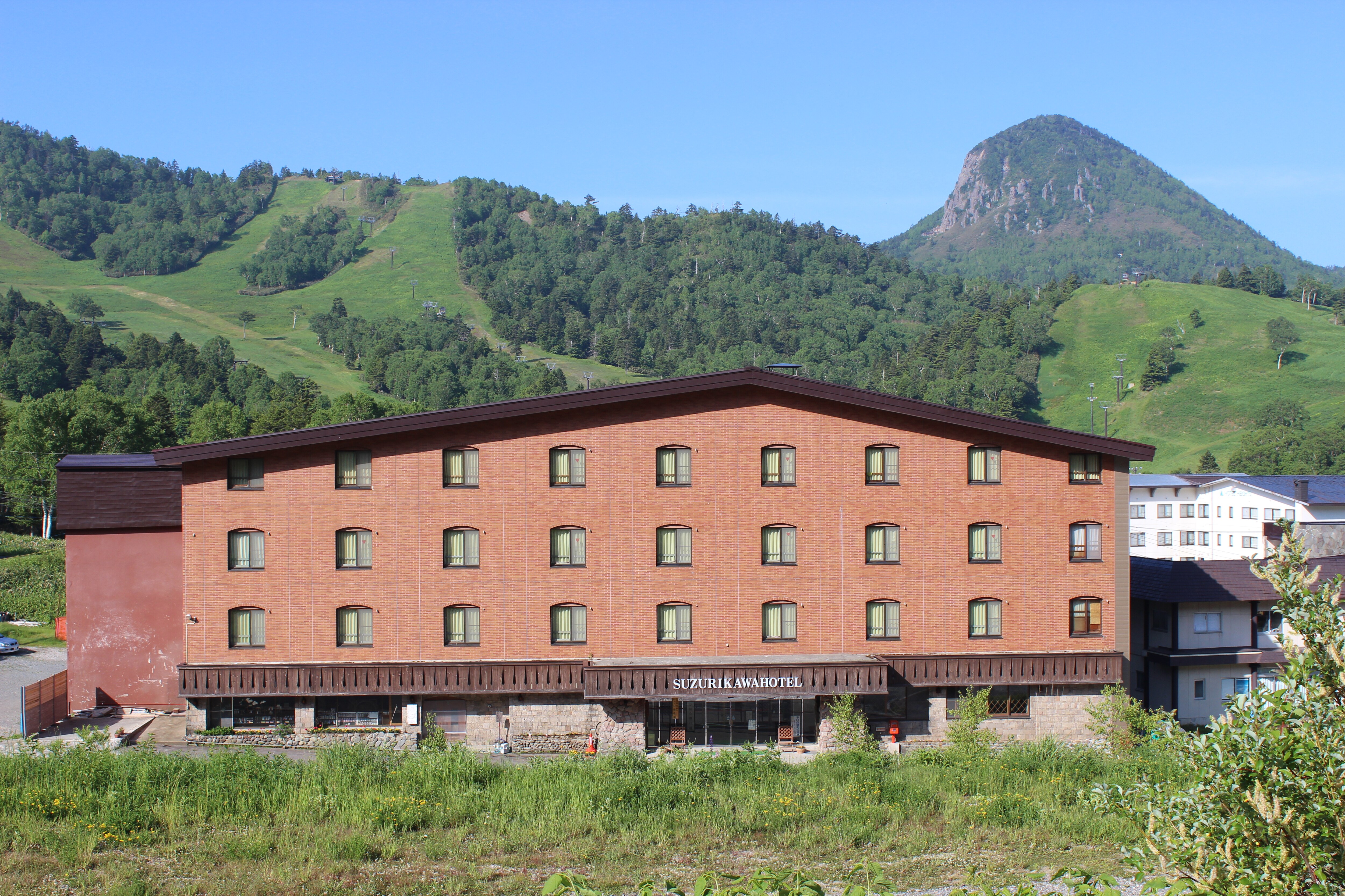 Summer panoramic view
