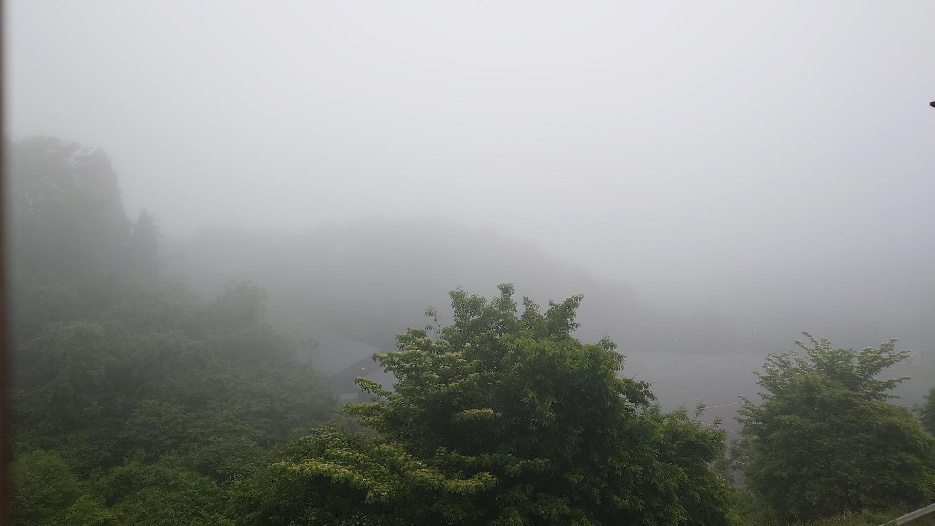 20260527_042834.JPG