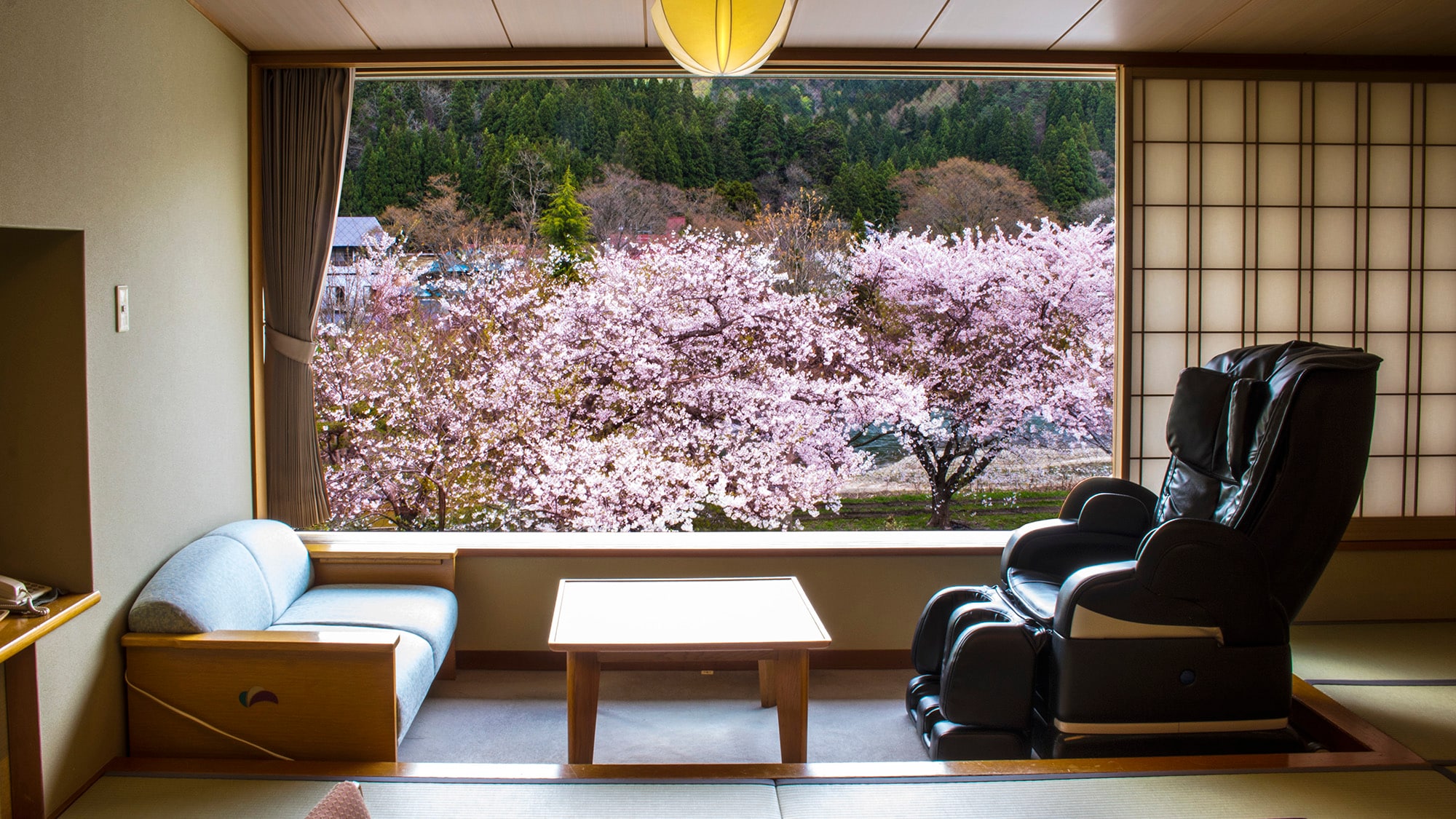 ◇ Sakura: Scenery from the guest room
