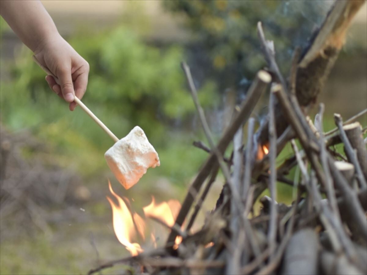 The roasted marshmallows are soft and fluffy.