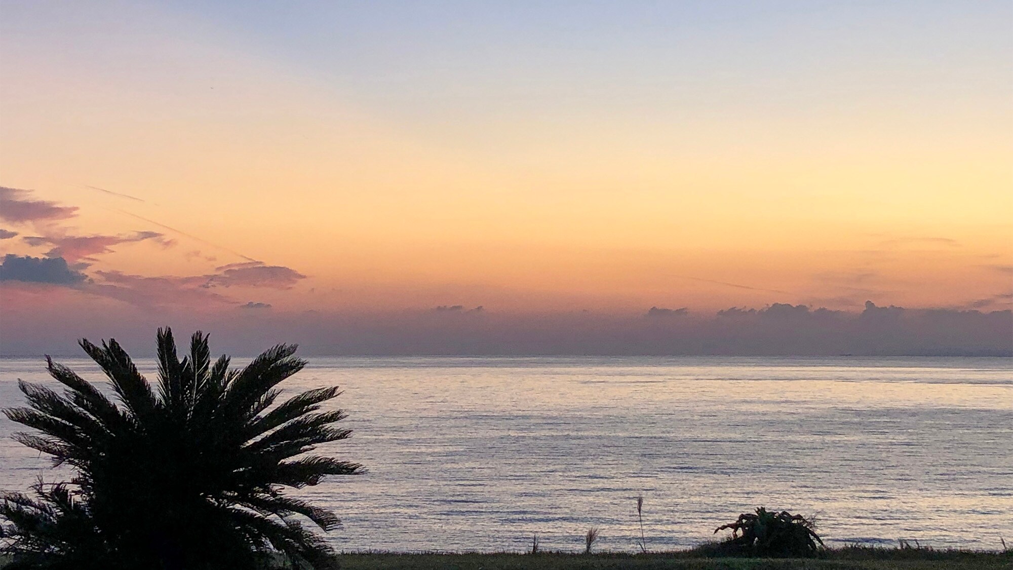 ・도시의 번잡함을 잊은 여유로운 시간을 보내실 수 있습니다