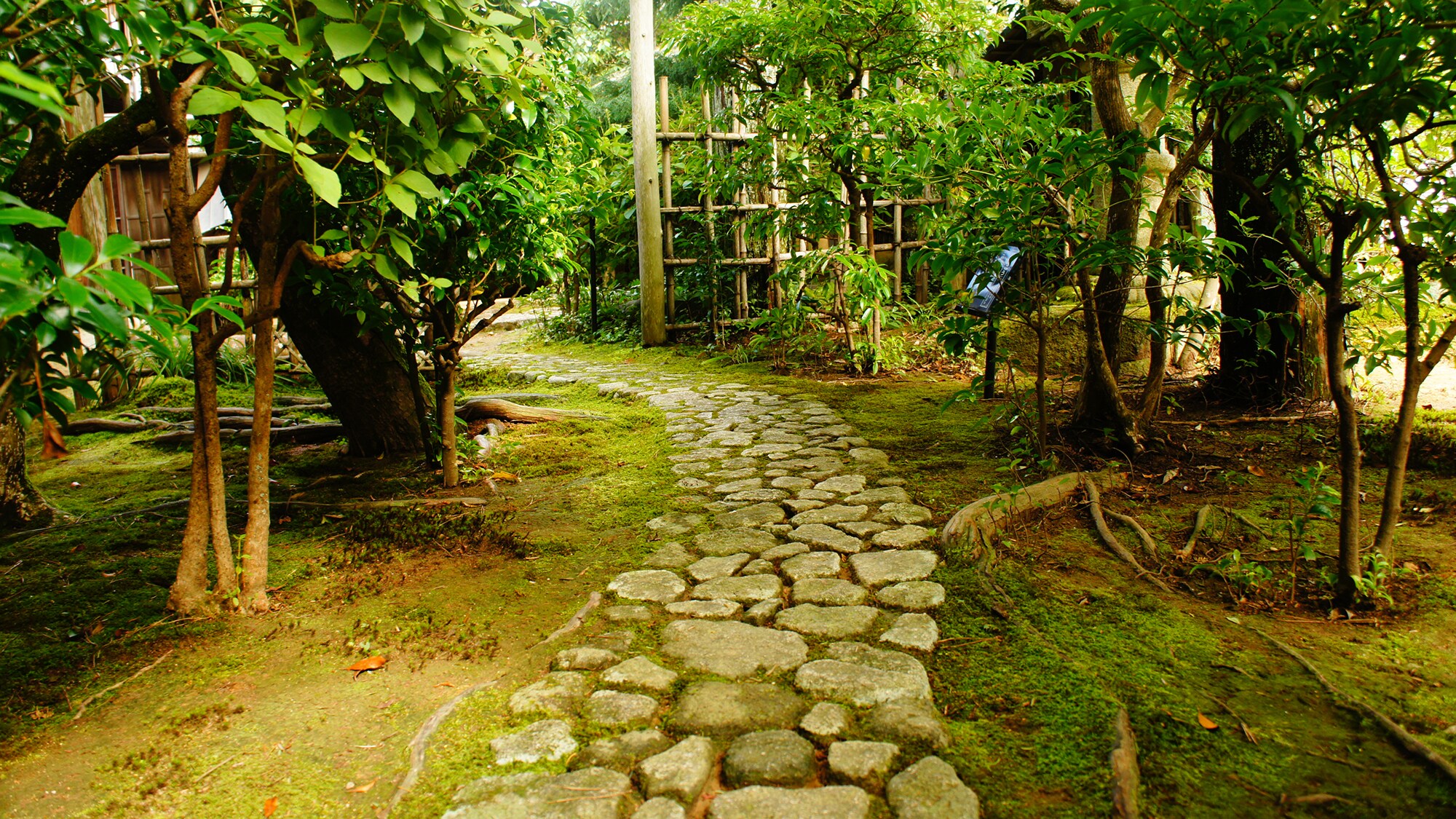 Outdoor