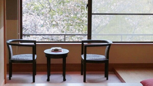 Cherry blossoms in full bloom as seen from Kaishunro