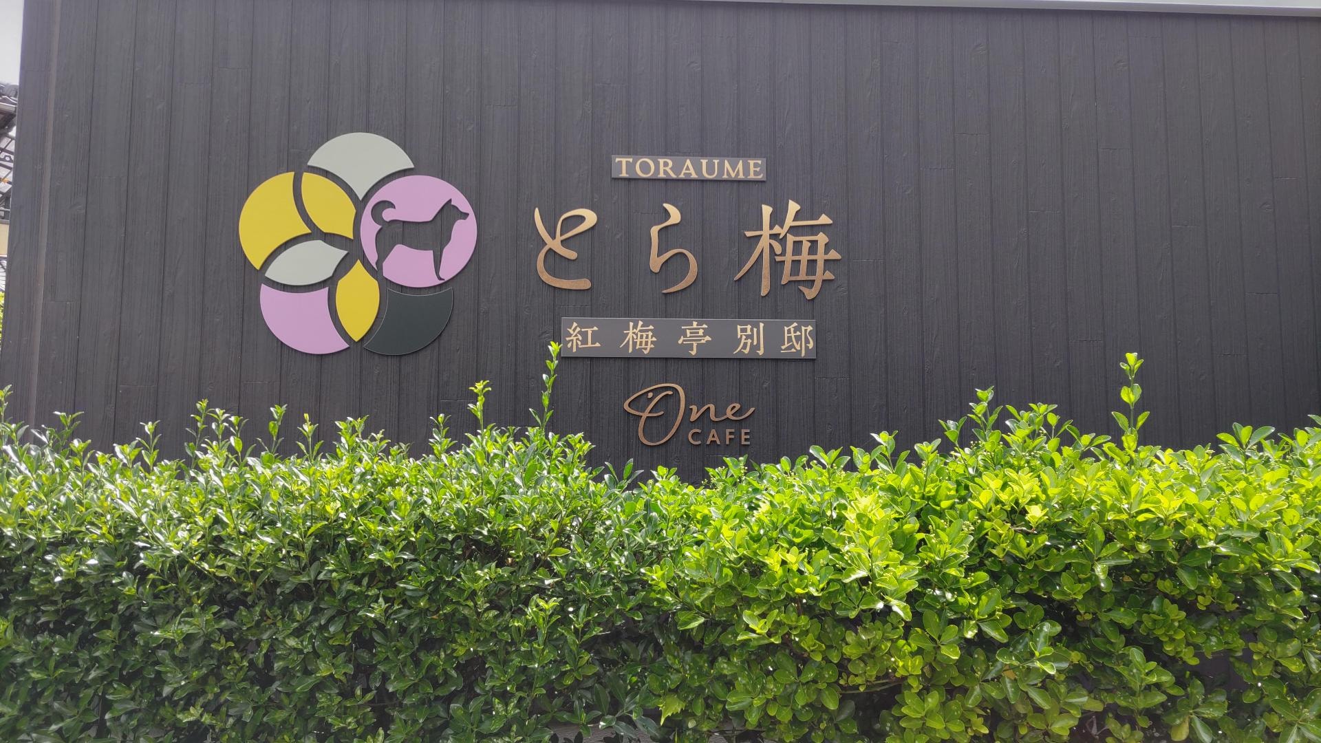 DSC_3107.JPG