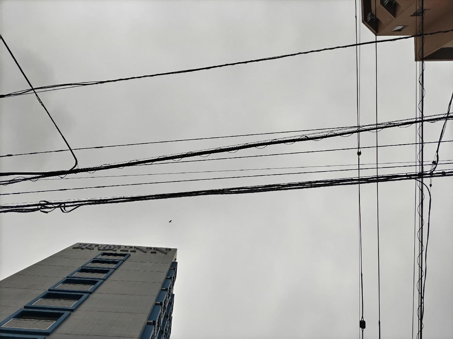 1000049400.jpg