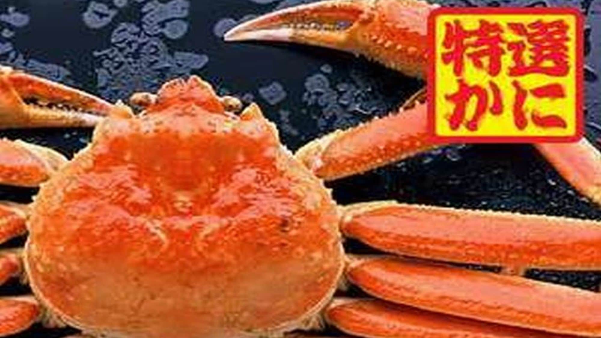 [Specialty crab] & larr; The plan with this mark is served with a whole cup of snow crab rank UP.