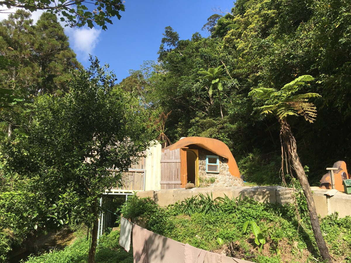 螢火蟲在晚上跳舞。 （六月至十月）