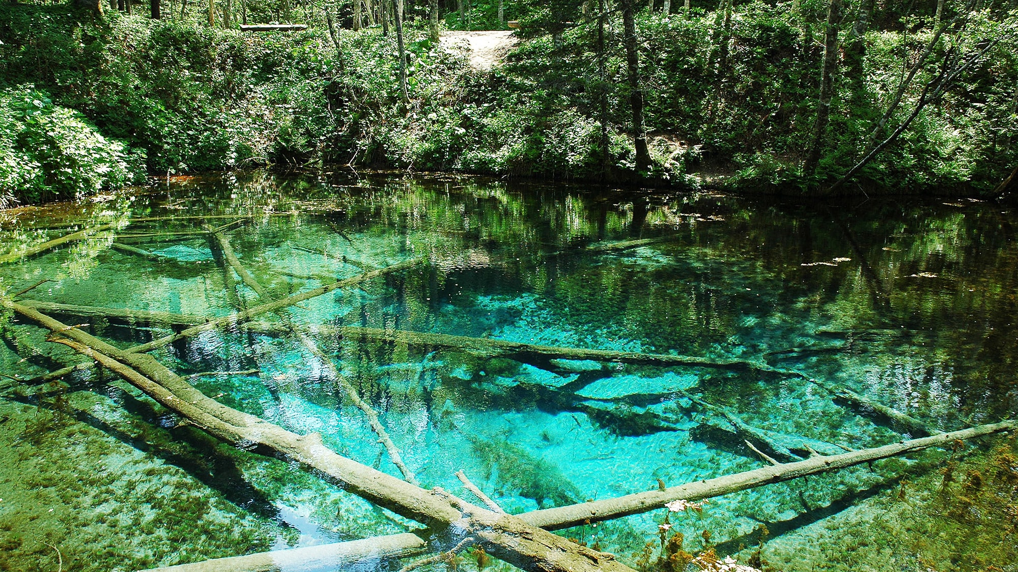 [Kaminoko Pond] An hour and a half by car from our hotel. Its cobalt blue shining appearance is truly mystical.
