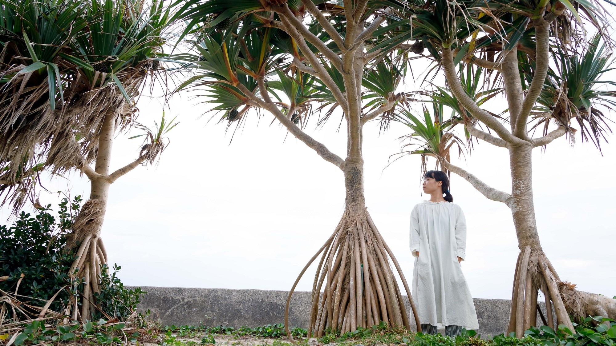 “อาดาน แอนด์ เดอะ ซีวิว อินน์”