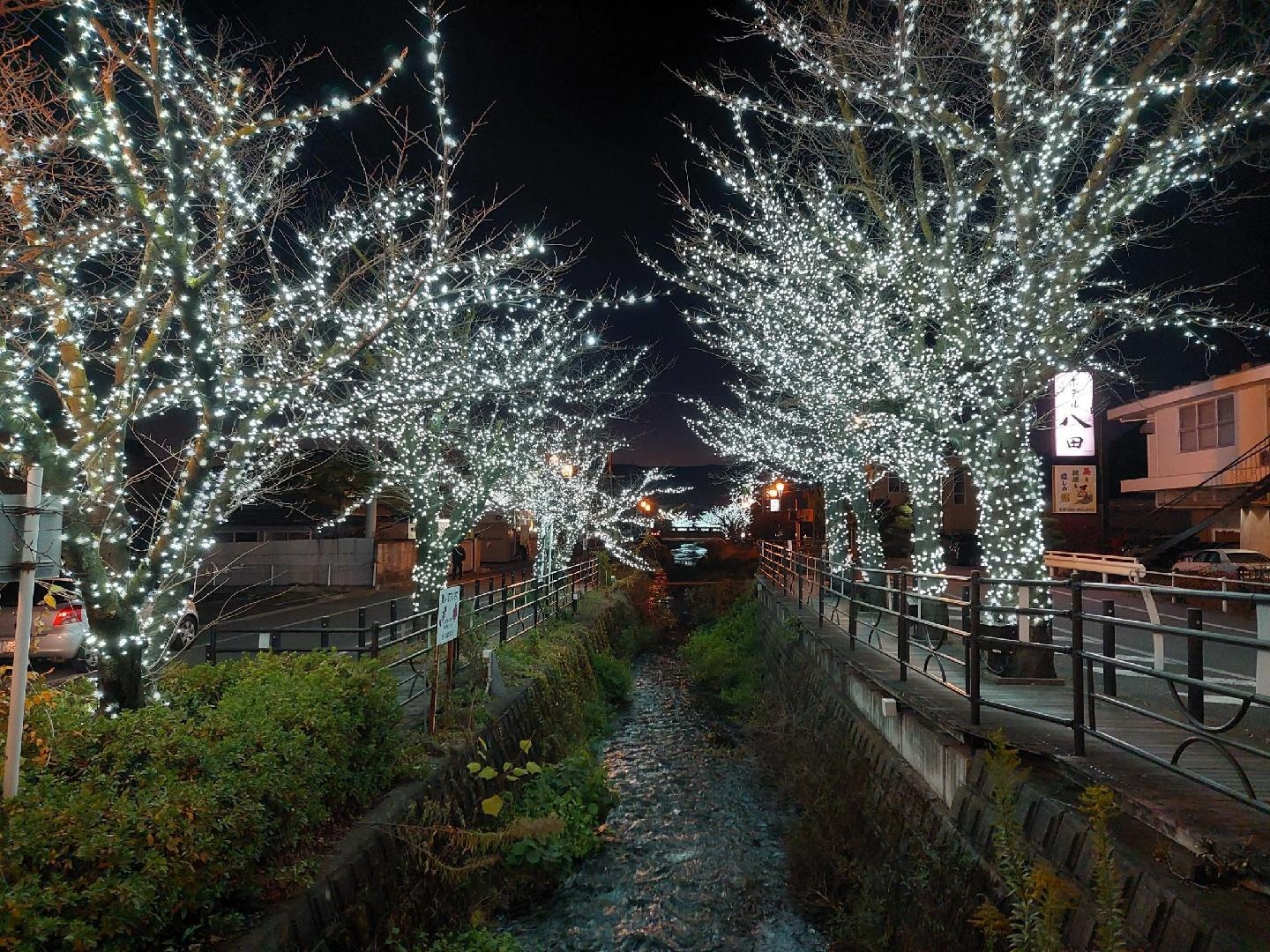 20251204_172637　イルミネーション1.jpg